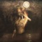 Sungazer (Instrumental Version) - Viscera lyrics