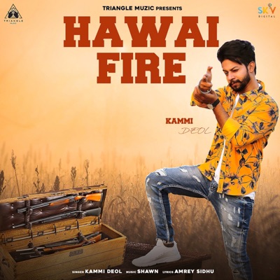 Hawai Fire - Single