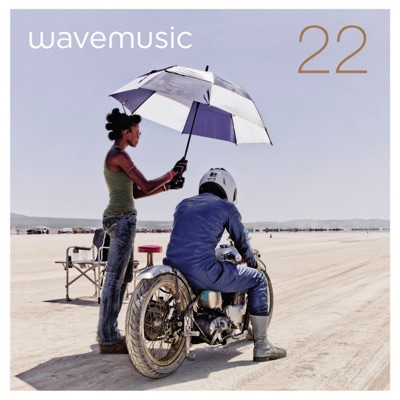 Ed Wizard & Disco Double Dee - Summer Love