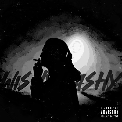 Wishy Washy - Single