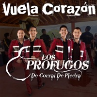 Vuela Corazón - Los Profugos de Corral de Piedra