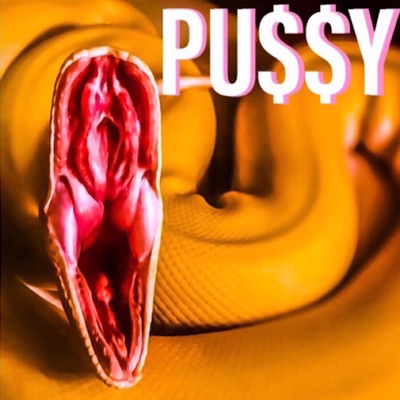 Pu$$y (feat. Jared Knutson) - Single