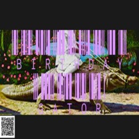 Birthday Gator - Aïda