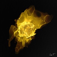 Anything (feat. Carott) - Single - Teho