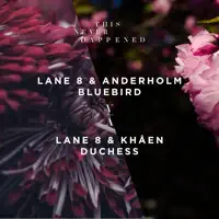 Bluebird — Lane 8 & Anderholm