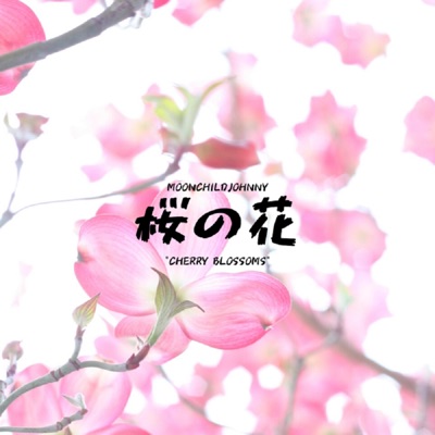 Cherry Blossoms - Single