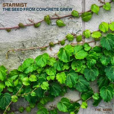 The Seed From Concrete Grew