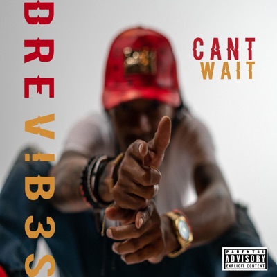 Can't Wait - Single