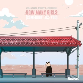 How Many Girls (Somebody Like You) Viva La Panda, Devinity & Astrid Nicole