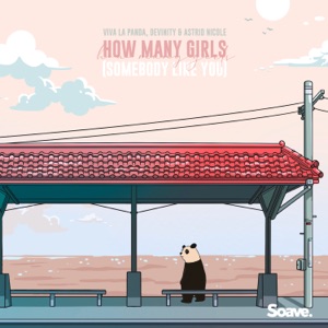 How Many Girls (Somebody Like You) - Single