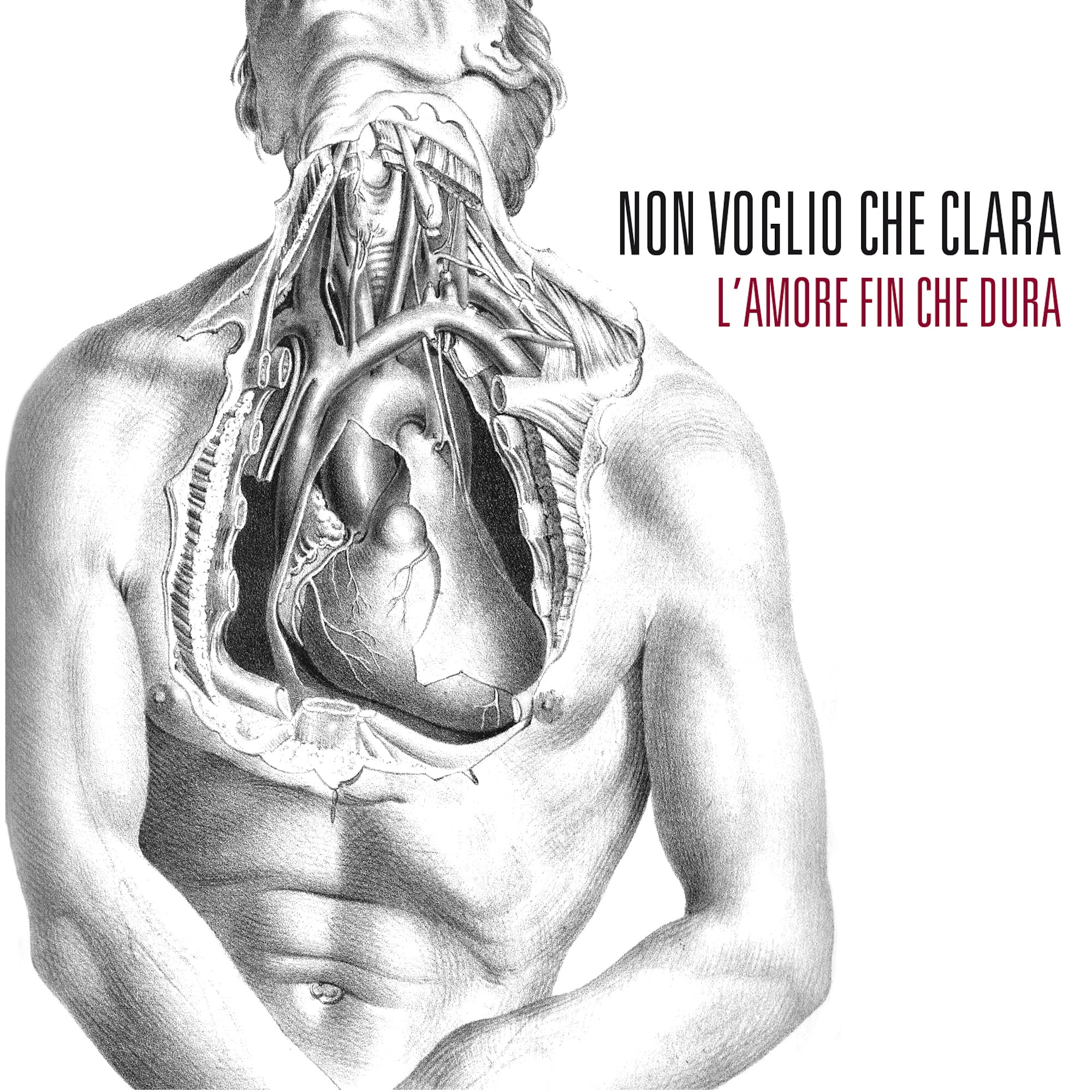 L'Amore Fin Che Dura