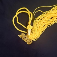 The Master's Program - Tiye Phoenix