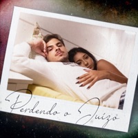 Perdendo Juízo (feat. Leticia Castro) - Single - Aversa, Johnny Monteiro & DJ L.N