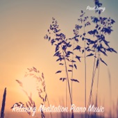 Relaxing Meditation Piano Music artwork