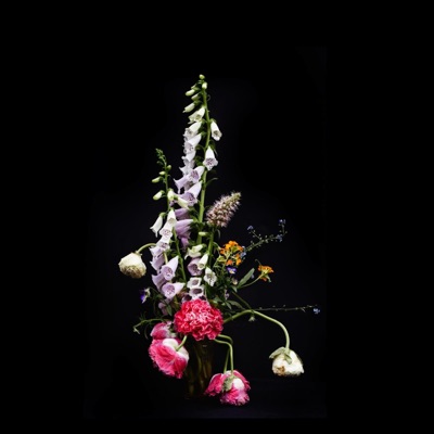 Ever Ev(her) - Single