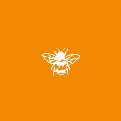 The Sound - Single