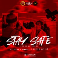 Stay Safe (Coronavirus) - Single - Ray's Records