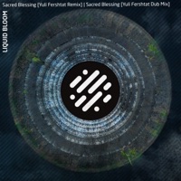 Sacred Blessing Remixes - Single - Liquid Bloom & Yuli Fershtat