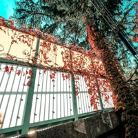 Good Bye (feat. Epektase) - Single - Nothingtosay