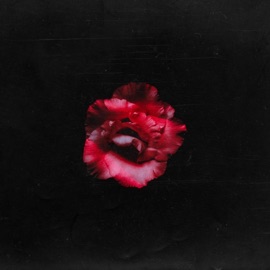 Lie to You JOEY DJIA