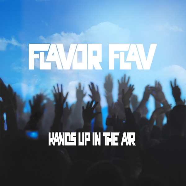 Hands up in the Air (Radio Edit) - Single