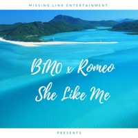 She Like Me (feat. Romeo) - Single - B1N0
