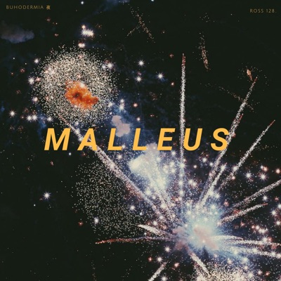 Malleus - Single