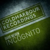 Dave Neven - Incognito