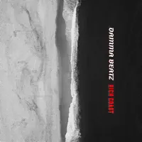 Rich Coast — Damma Beatz