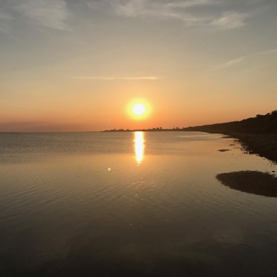 The Immortal Four (feat. Emily Dolan Davies) [Instrumental] - Single