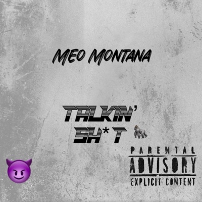 Talkin Shit - Single