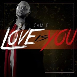 Love Is You Cam B