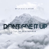 Don't Give It Up (feat. Jordvn) - Single - BIG KYLY