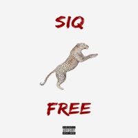 Siqfree (feat. Dé Barros) - Single - Siquieri