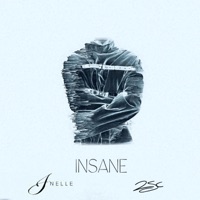Insane (feat. J'nelle) - Single - 2SC