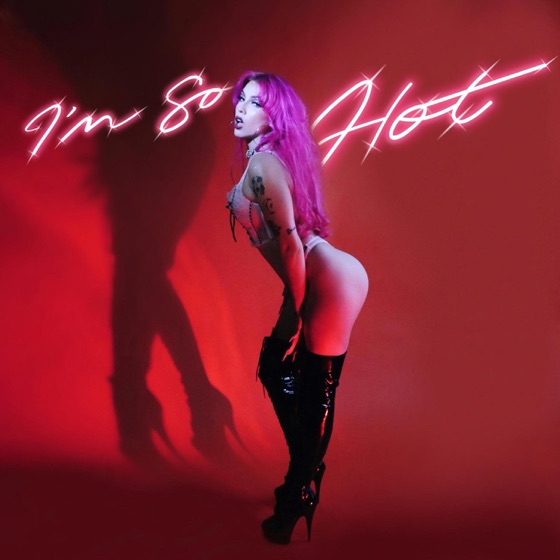 Cover artwork for I'm So Hot