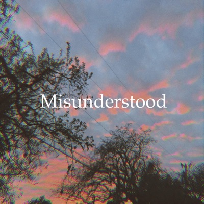 Misunderstood - EP