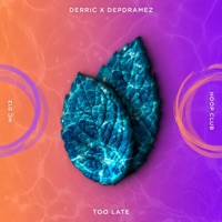 Too Late (Extended Mix) - Single - Derric, Depdramez & Hoop Records