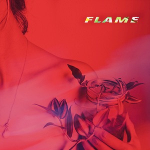 Flame (feat. Victor!) - Single
