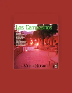 聆聽 Los Campesinos、觀看音樂影片、閱讀小傳、查看巡演日期等！