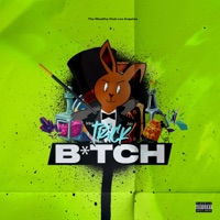 Trick Bitch - Single - Mike Jay