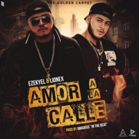 Amor a la Calle - Single