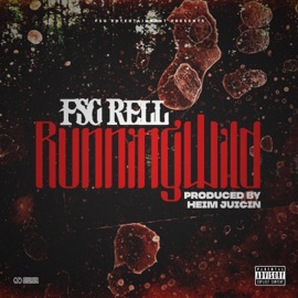 2 Different (feat. Leaf Ward & HeimJucin) FSG Rell