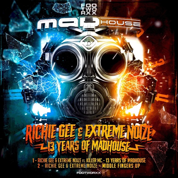 13 Years of Madhouse - Single