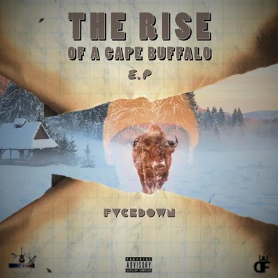 The rise of a cape Buffalo - EP