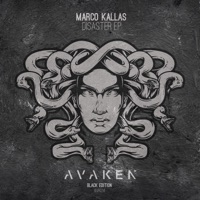 Disaster - Single - Marco Kallas