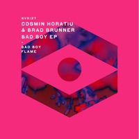 Bad Boy - Single - Cosmin Horatiu & Brad Brunner