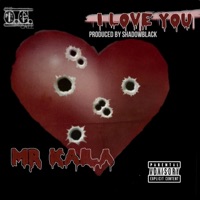 I Love You - Single - Mr Kaila