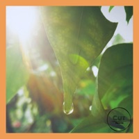 Sunshine - Single - BJ Bied