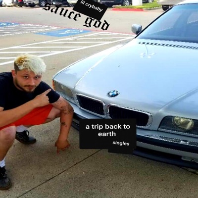 A Trip Back to Earth - Single